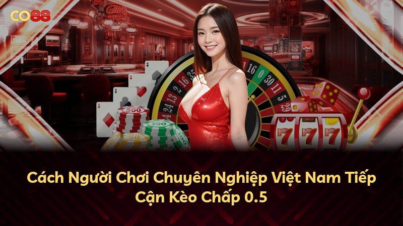 Cách Người Chơi Chuyên Nghiệp Việt Nam Tiếp Cận Kèo Chấp 0.5